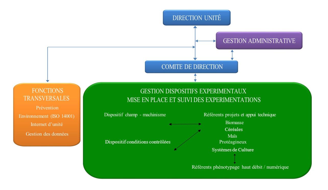 Organigramme fonctionnel